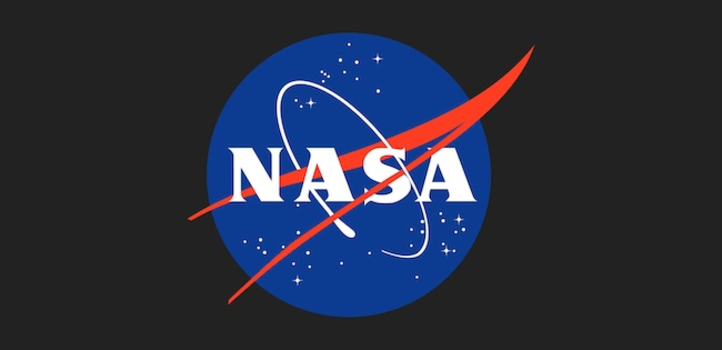 NASA meatball logo.